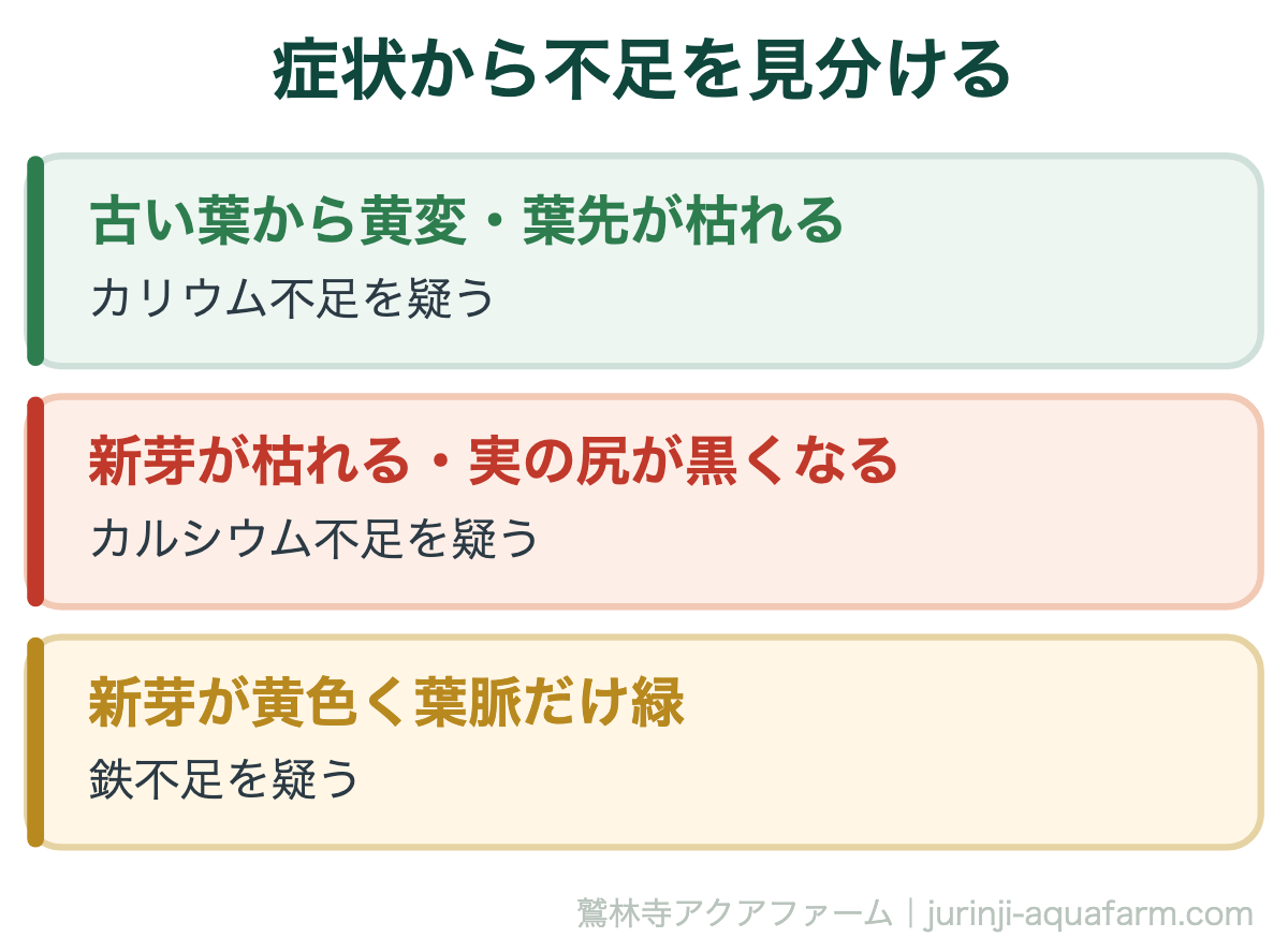 症状から不足を見分ける。アクアポニックスで足りない栄養は3つ