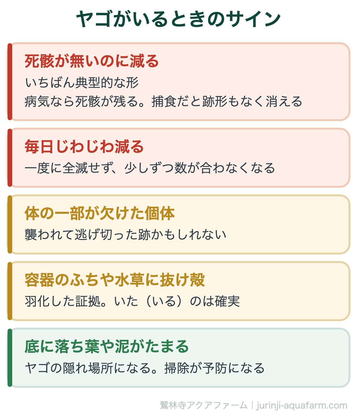 メダカのヤゴ・ボウフラ対策|ヤゴがいるときのサイン。原因が分からないままメダカが減るときは、まずヤゴを疑う