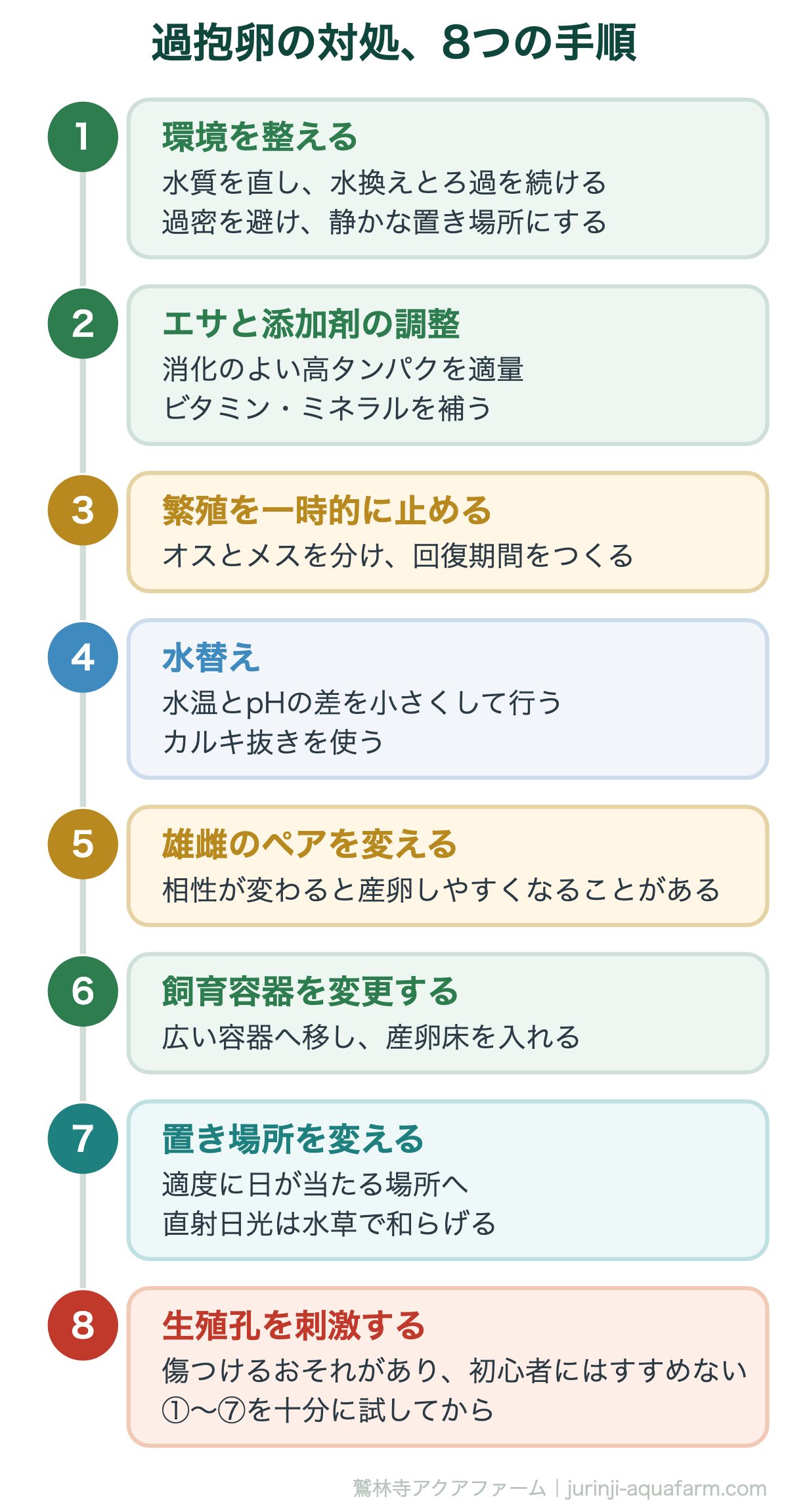 メダカの過抱卵の対処8つの手順。①環境を整える、水換えと過密の解消から始める。腹部を押し出す方法はメダカを傷つけるおそれがあるので、いちばん最後にする