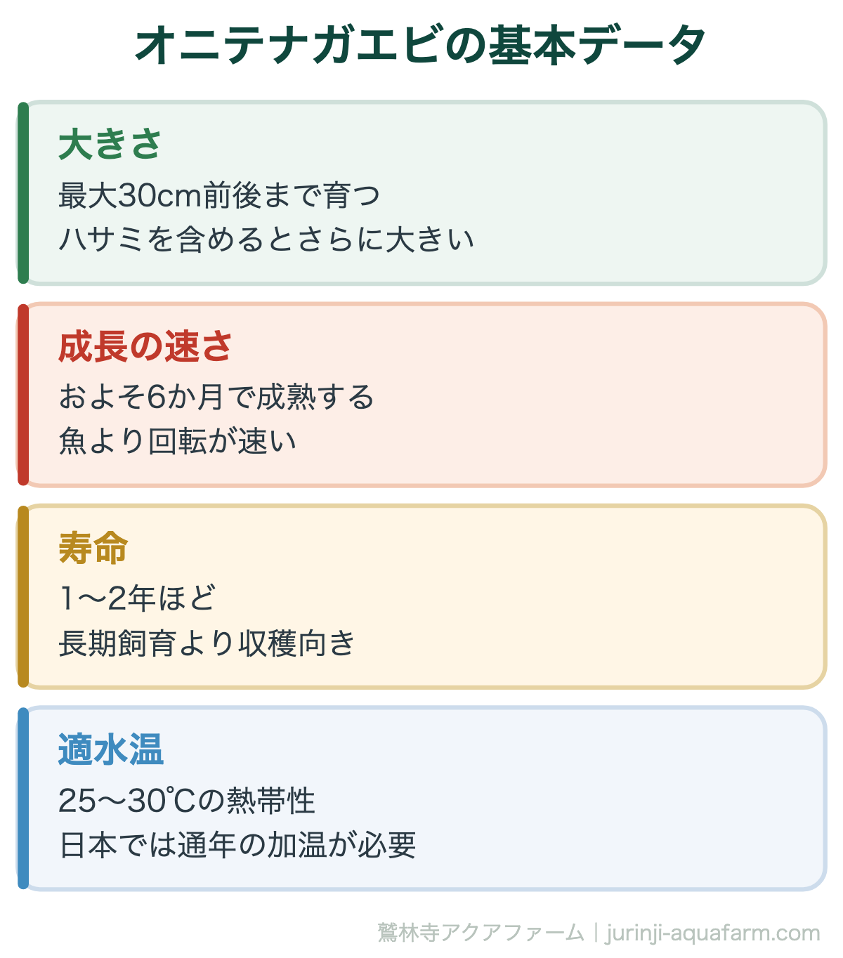 オニテナガエビの飼育方法｜オニテナガエビの基本データ。オニテナガエビは成長が速く、半年ほどで食べられるサイズになります。そのぶん寿命は短く、飼うより「育てて収穫する」対象です