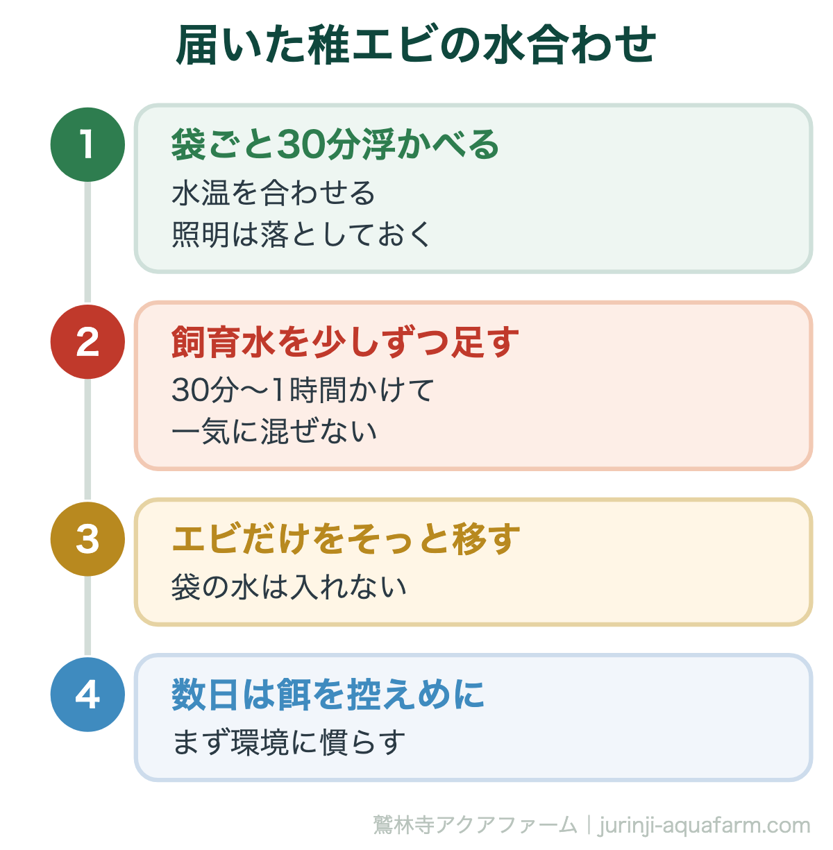 オニテナガエビの飼育方法｜届いた稚エビの水合わせ。エビは魚以上に水質の急変に弱い生き物です。届いた日の水合わせを丁寧にやるかどうかで、初期の生存率が大きく変わります