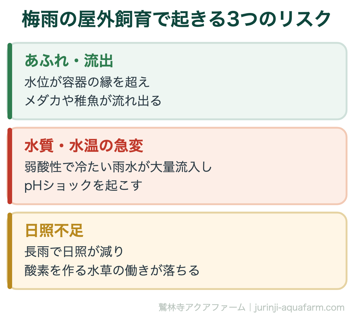 梅雨時期のメダカ飼育：雨水利用のメリットとデメリットを徹底解説｜梅雨の屋外飼育で起きる3つのリスク。いずれも『雨そのもの』ではなく『急激な変化』が原因です。ゆっくりなら耐えられる変化も、急だと負担になります