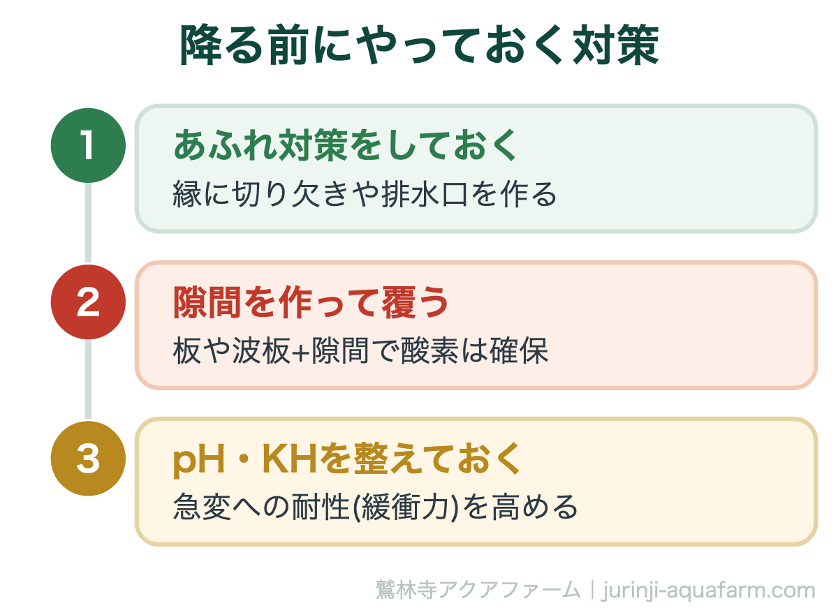 梅雨時期のメダカ飼育：雨水利用のメリットとデメリットを徹底解説｜降る前にやっておく対策。梅雨入り前のひと手間が、豪雨のときの被害を大きく左右します