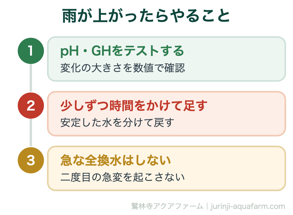 梅雨時期のメダカ飼育：雨水利用のメリットとデメリットを徹底解説｜雨が上がったらやること。『応急処置で一気に戻す』のはNG。ゆっくり戻すことが結局いちばんの近道です