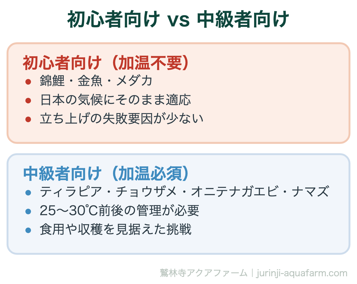初心者向け vs 中級者向け。アクアポニックスの魚の選び方