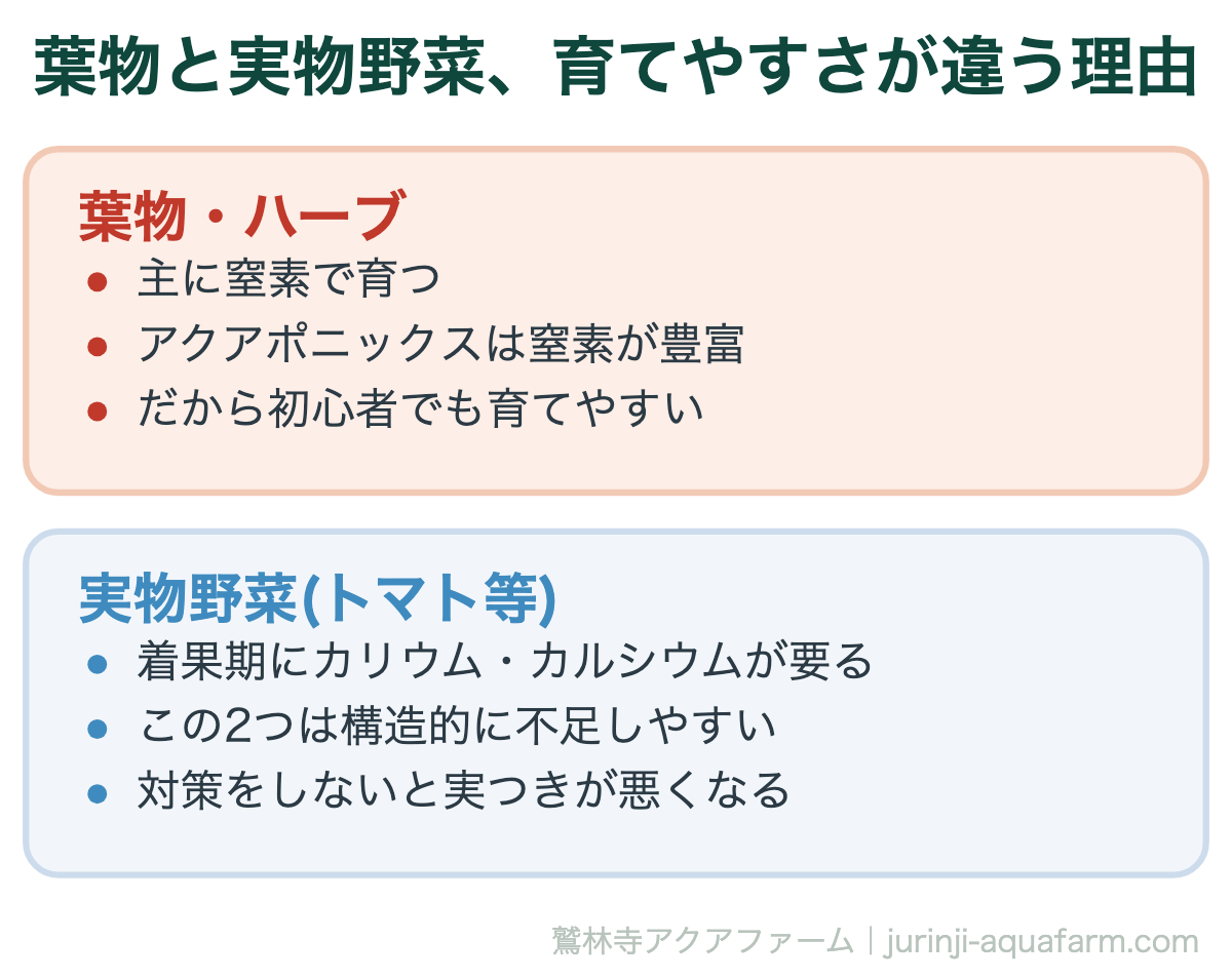 葉物と実物野菜、育てやすさが違う理由。【2026年版】アクアポニックス『初心者から中級者』で育てるおすすめの葉物＆実物野菜・ハーブ