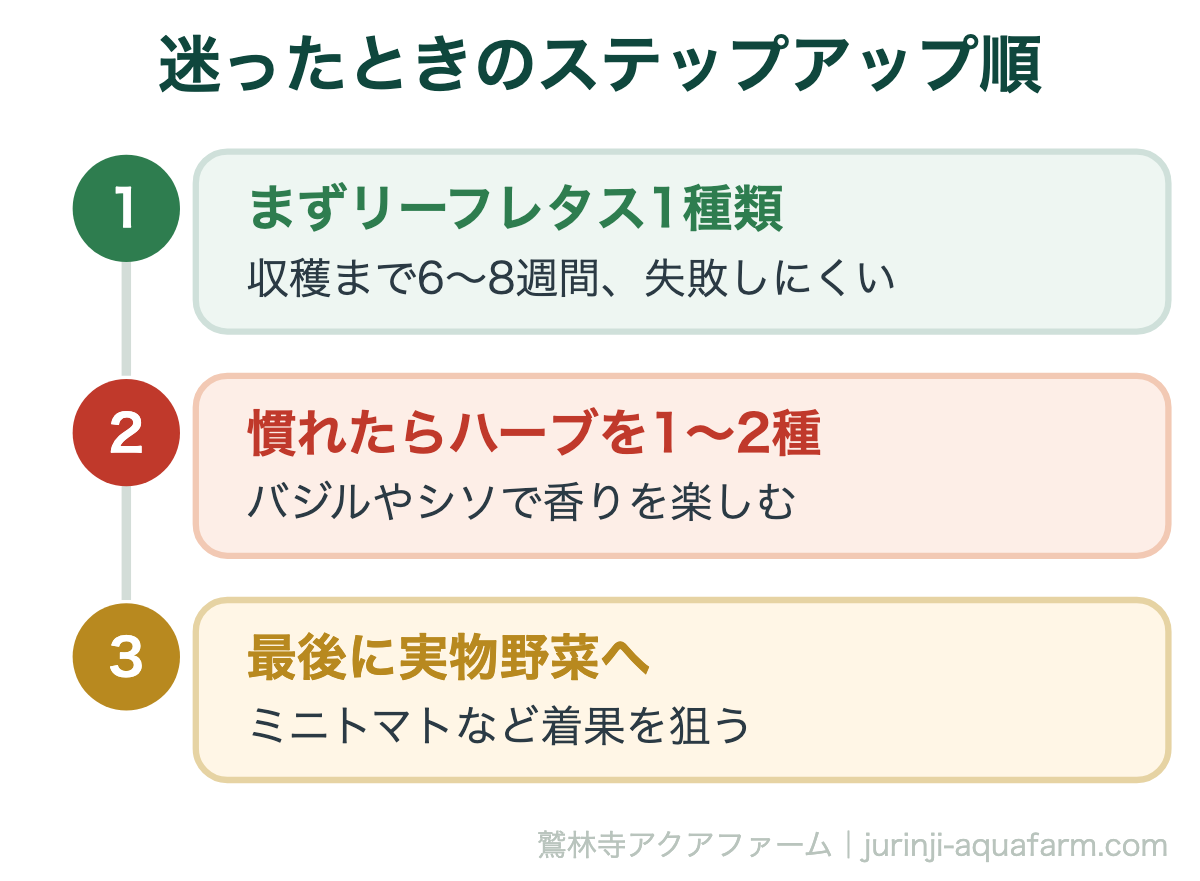 迷ったときのステップアップ順。【2026年版】アクアポニックス『初心者から中級者』で育てるおすすめの葉物＆実物野菜・ハーブ