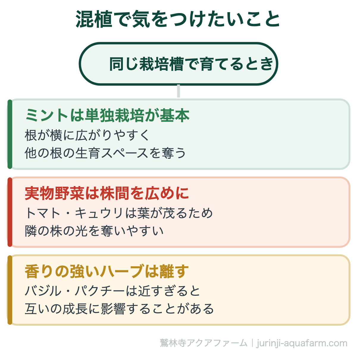 混植で気をつけたいこと。【2026年版】アクアポニックス『初心者から中級者』で育てるおすすめの葉物＆実物野菜・ハーブ
