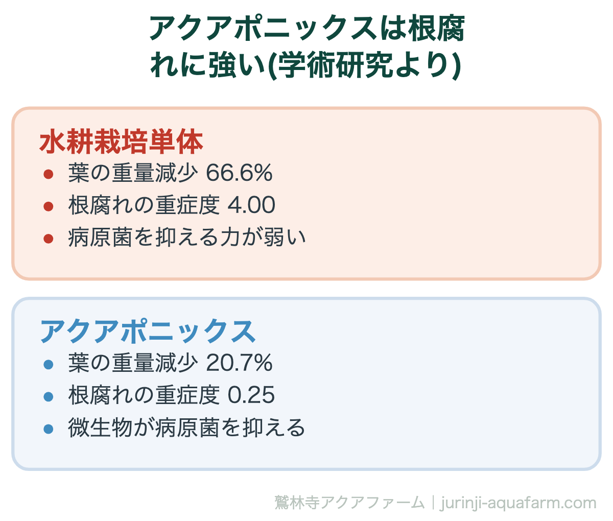 アクアポニックスは根腐れに強い(学術研究より)。根腐れの原因は「酸素不足」だった