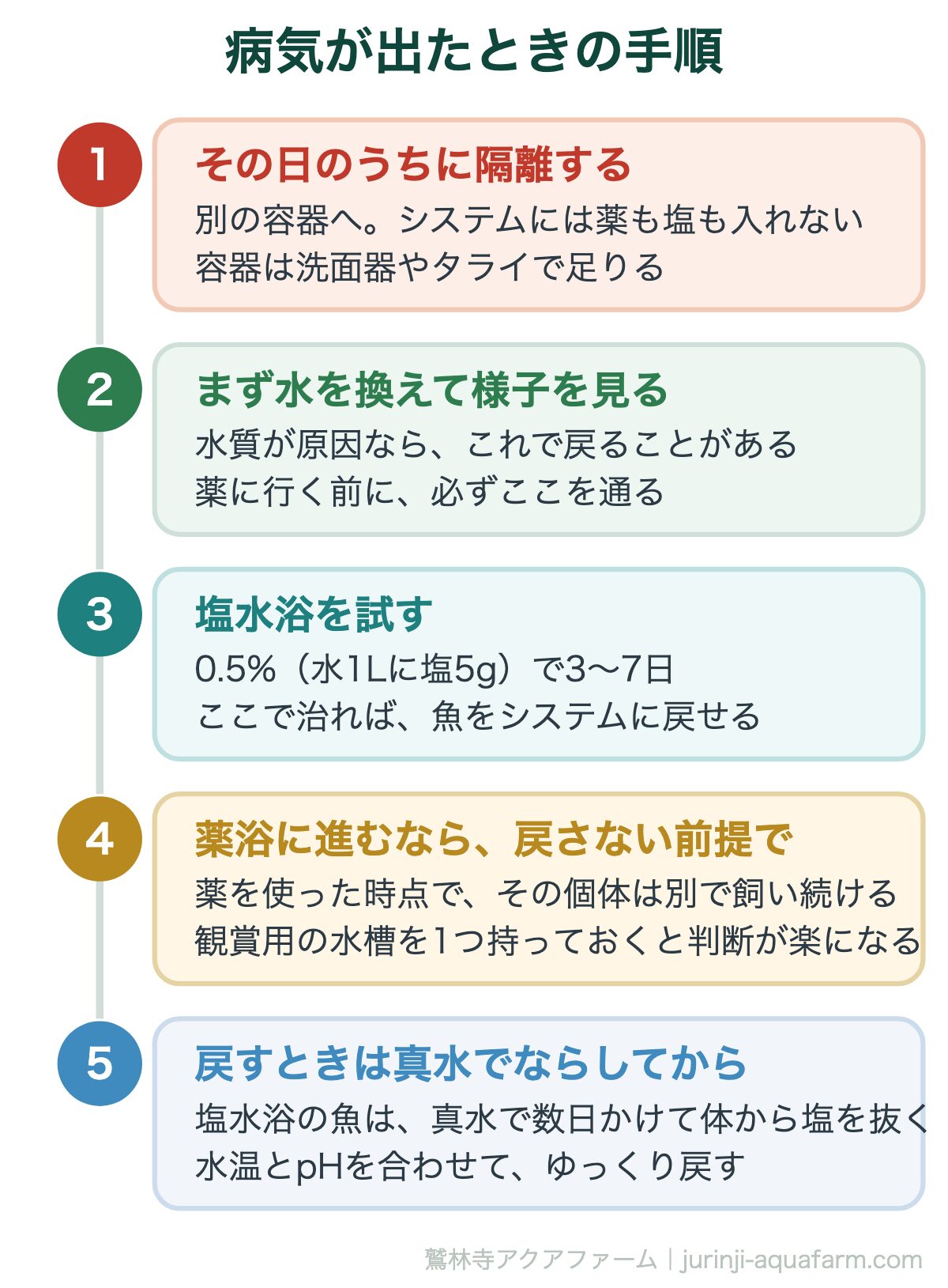 アクアポニックスの魚が病気に|病気が出たときの手順。薬に進むかどうかが分かれ道。進んだら「戻さない」と決めておくほうが迷わない