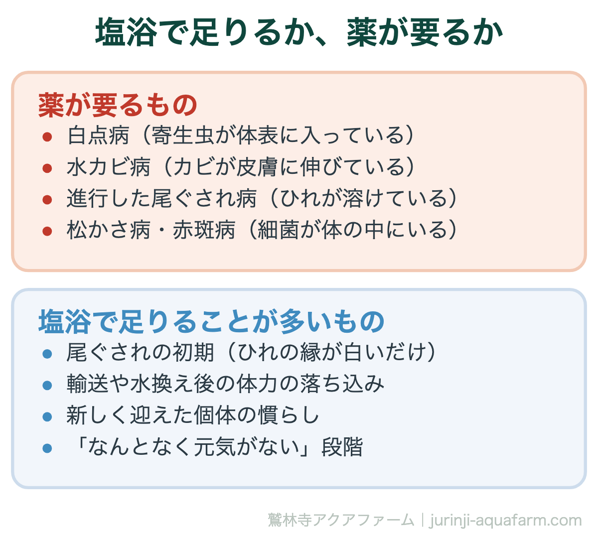 メダカの塩浴｜塩浴で足りるか、薬が要るか。塩は体力の消耗を抑えるケア。菌や虫を殺す薬ではないので、線引きが要る