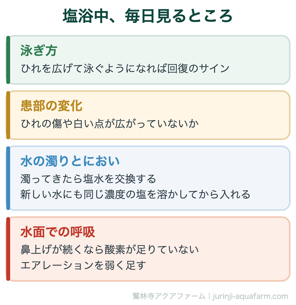 メダカの塩浴｜塩浴中、毎日見るところ。4日目までに何も変わらないなら、原因が塩浴では届かないところにある