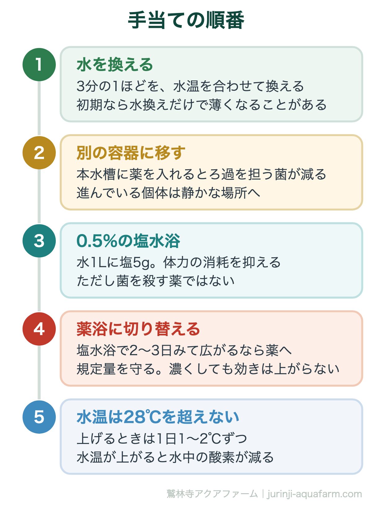 メダカの赤斑病はうつる｜手当ての順番。初期なら水換えで戻ることがある。だから薬は4番目でよい