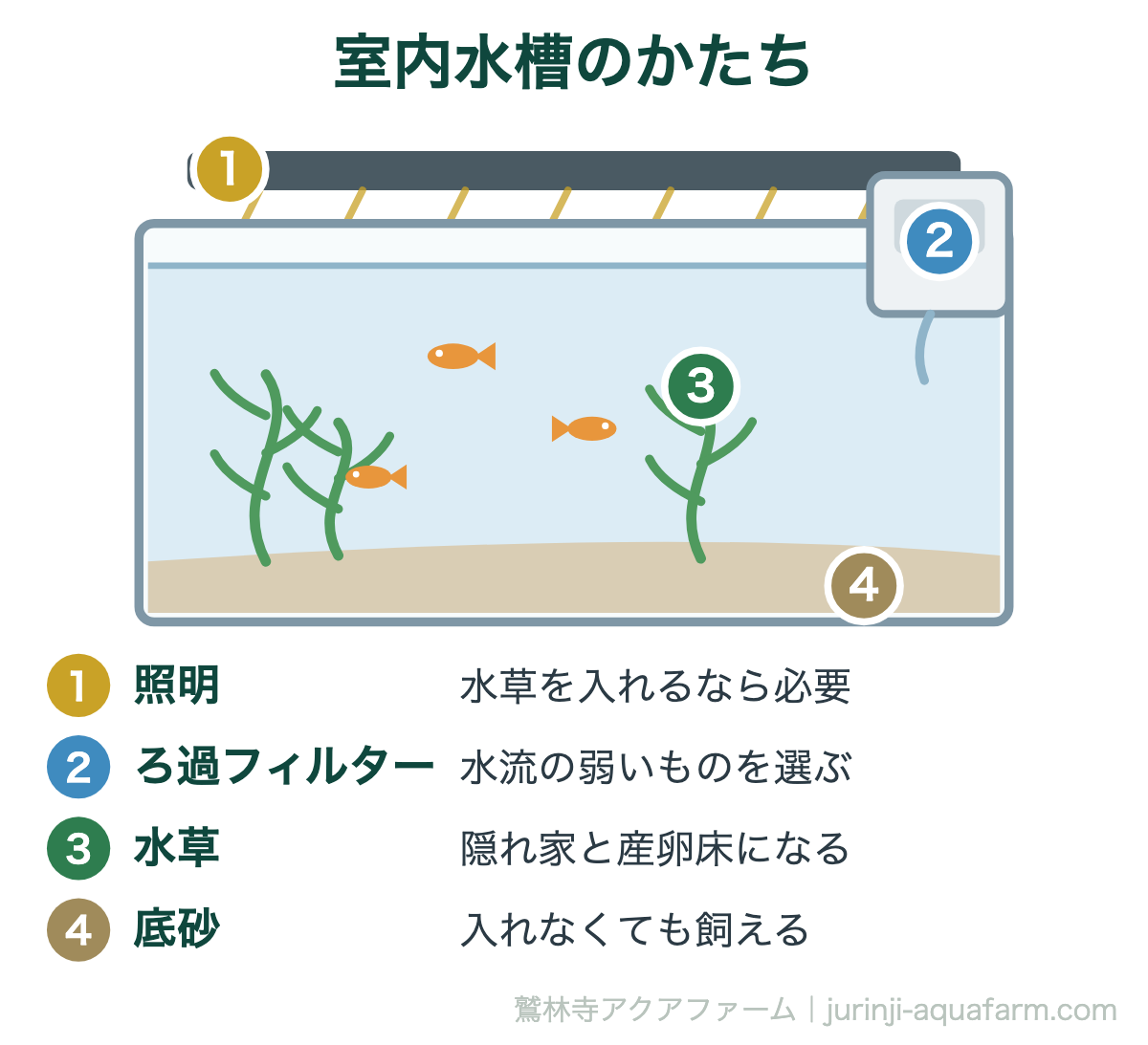 メダカの室内飼育に必要なもの｜室内水槽のかたち。屋外と違って日光が届かないぶん、照明とろ過で補うのが室内飼育です。底砂は好みで、無くても飼えます