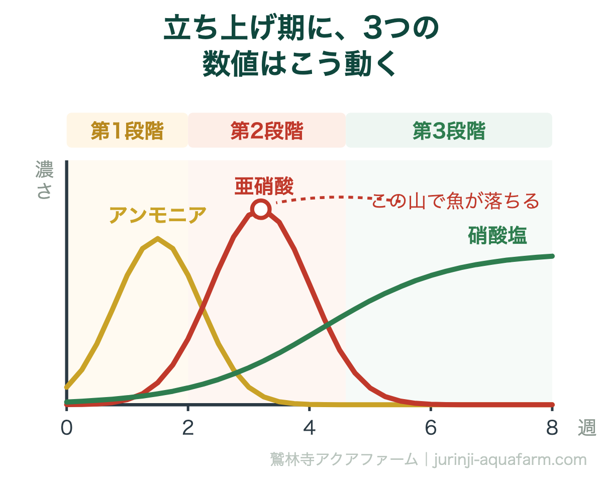アクアポニックスの硝化サイクル｜立ち上げ期に、3つの数値はこう動く。アンモニアの山が引くころに亜硝酸の山が来る。硝酸塩が出はじめたら、峠を越えたということ