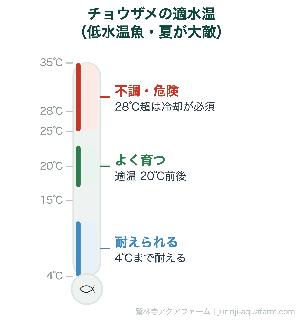 【自宅でキャビア】アクアポニックスでのチョウザメの飼育法｜チョウザメの適水温（低水温魚・夏が大敵）。チョウザメは低水温を好む魚。日本の夏は水温が上がりすぎるため、28℃を超えるなら水槽用クーラーでの冷却が必要です