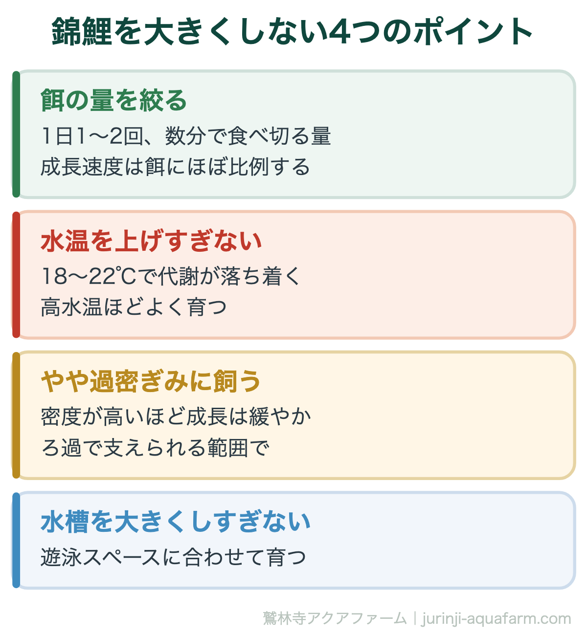錦鯉を大きくしない4つのポイント。この4つで成長はコントロールできます。ただし絞りすぎは栄養不足と水質悪化を招くので、健康を優先してください