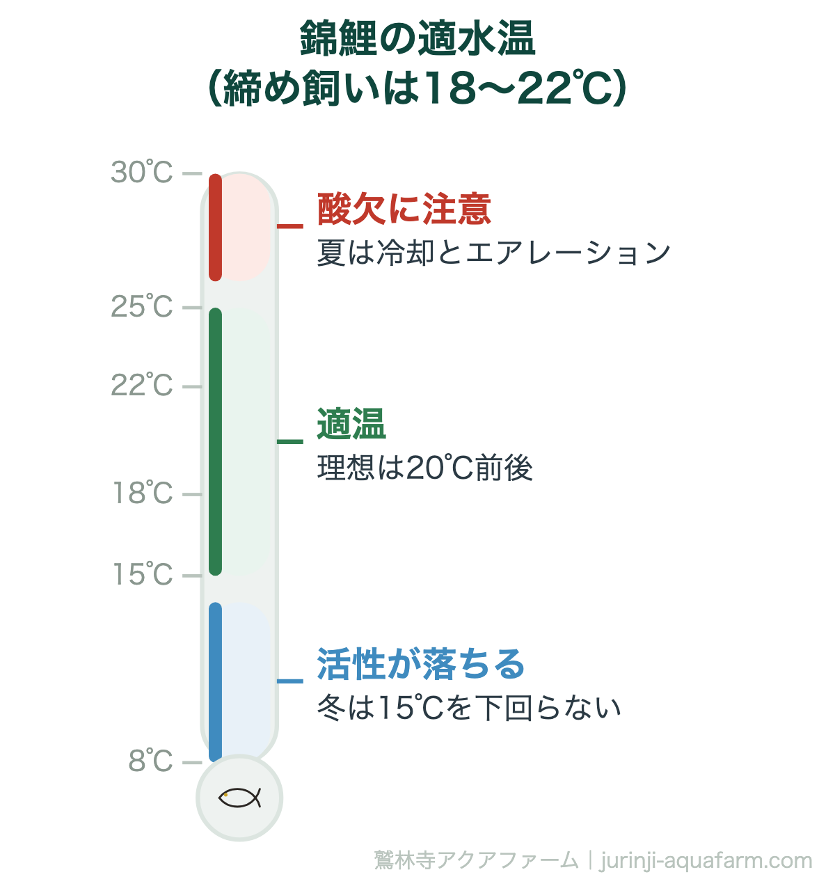 錦鯉の適水温（締め飼いは18〜22℃）。15〜25℃が適温。成長を抑えたいなら18〜22℃を保ちます。数値そのものより、急変させないことが大切です