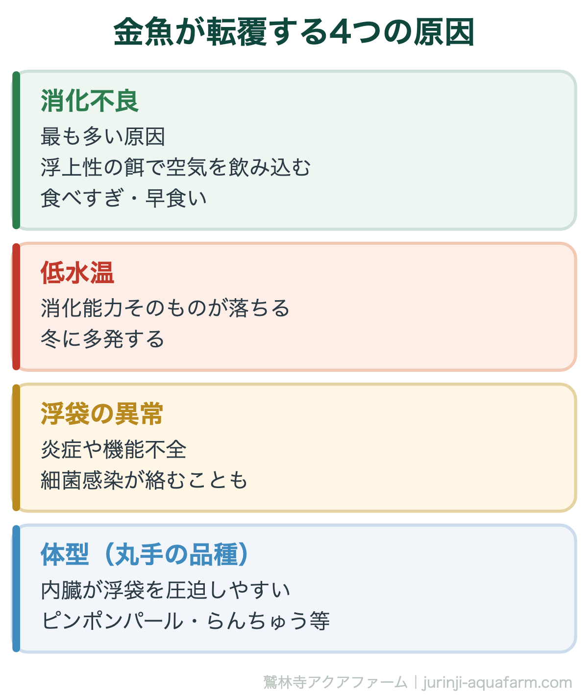 金魚が転覆する4つの原因。転覆病は病名ではなく「浮力を調整できなくなった状態」を指す症状名。原因の大半は消化不良と低水温です
