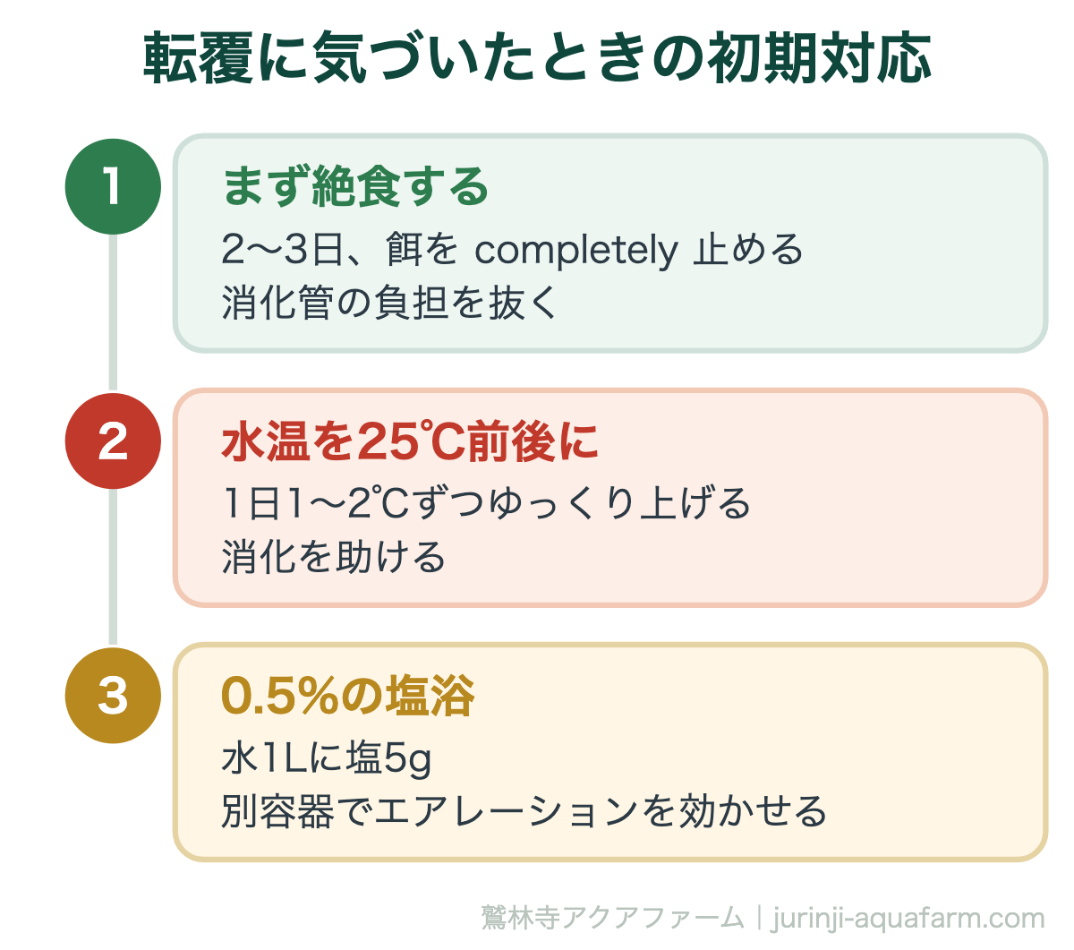 金魚の転覆病は治る｜転覆に気づいたときの初期対応。初期対応で最も効くのは絶食です。薬より先に、まず消化管を空にして水温を上げます。急な加温は逆効果なので必ず段階的に