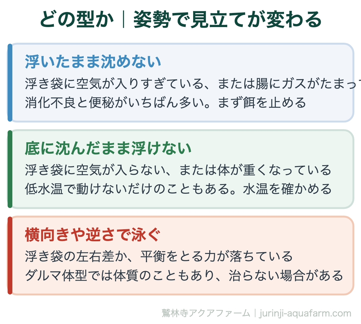 メダカの転覆病｜どの型か｜姿勢で見立てが変わる。「浮く」と「沈む」は原因が逆。同じ手当てでは戻らないので、まず型を見る