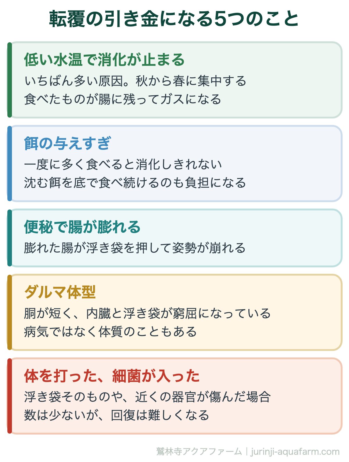 メダカの転覆病｜転覆の引き金になる5つのこと。上の3つは飼い方で変わる。だから餌と水温を直すのが最初の一手になる