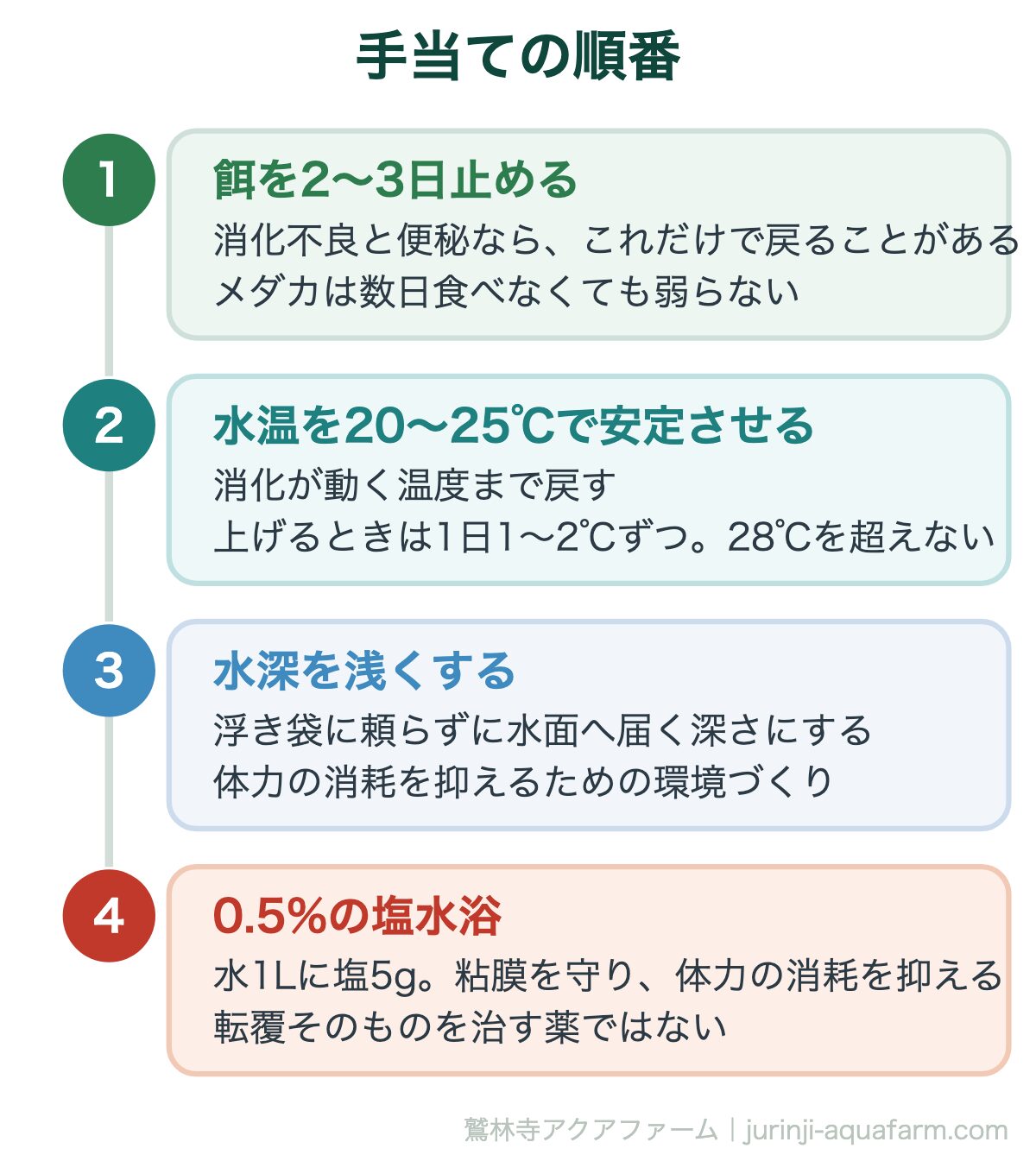 メダカの転覆病｜手当ての順番。薬ではなく環境で戻す病気。餌を止めるところから始めるのがいちばん効く