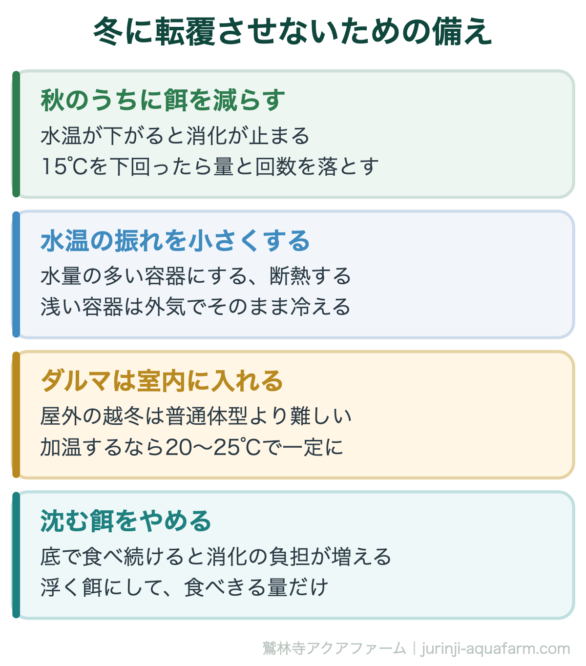 メダカの転覆病｜冬に転覆させないための備え。転覆は冬の入口で決まる。秋の餌の落とし方がそのまま結果になる