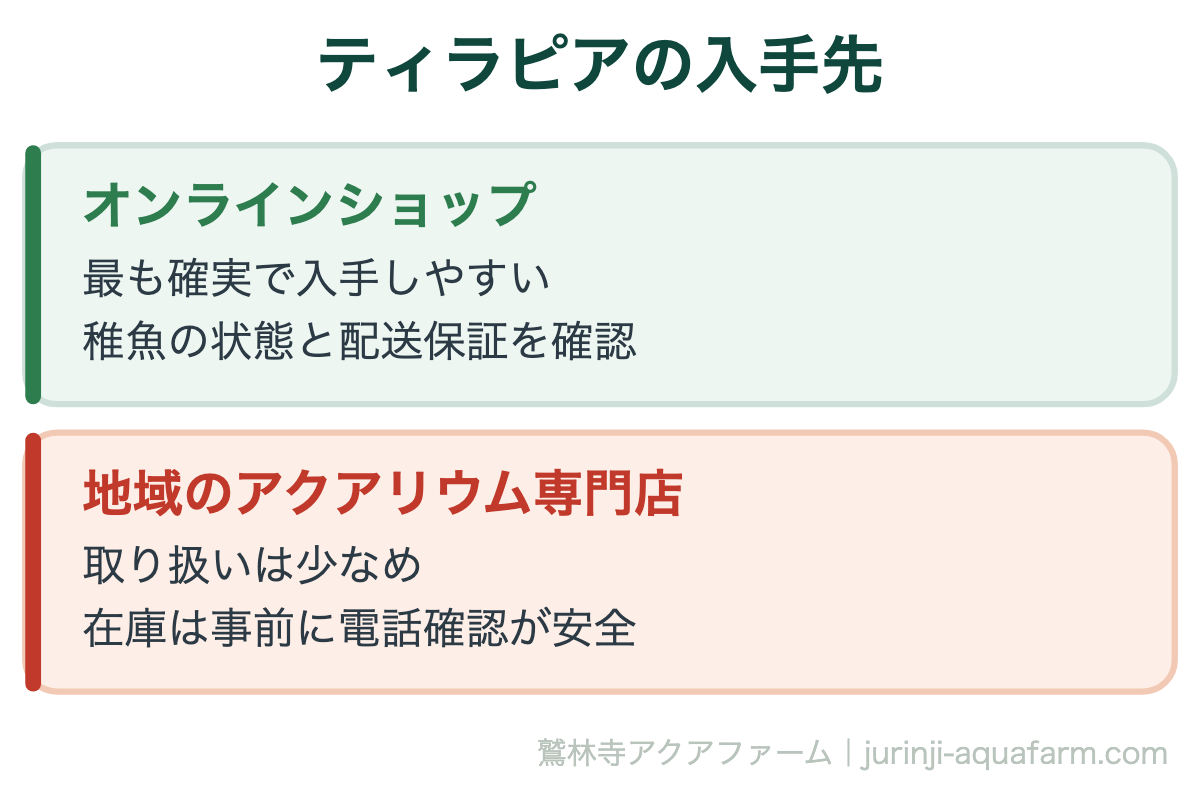 ティラピアの入手先。観賞魚として一般的な魚ではないため、地域の専門店より通販のほうが確実に入手できます