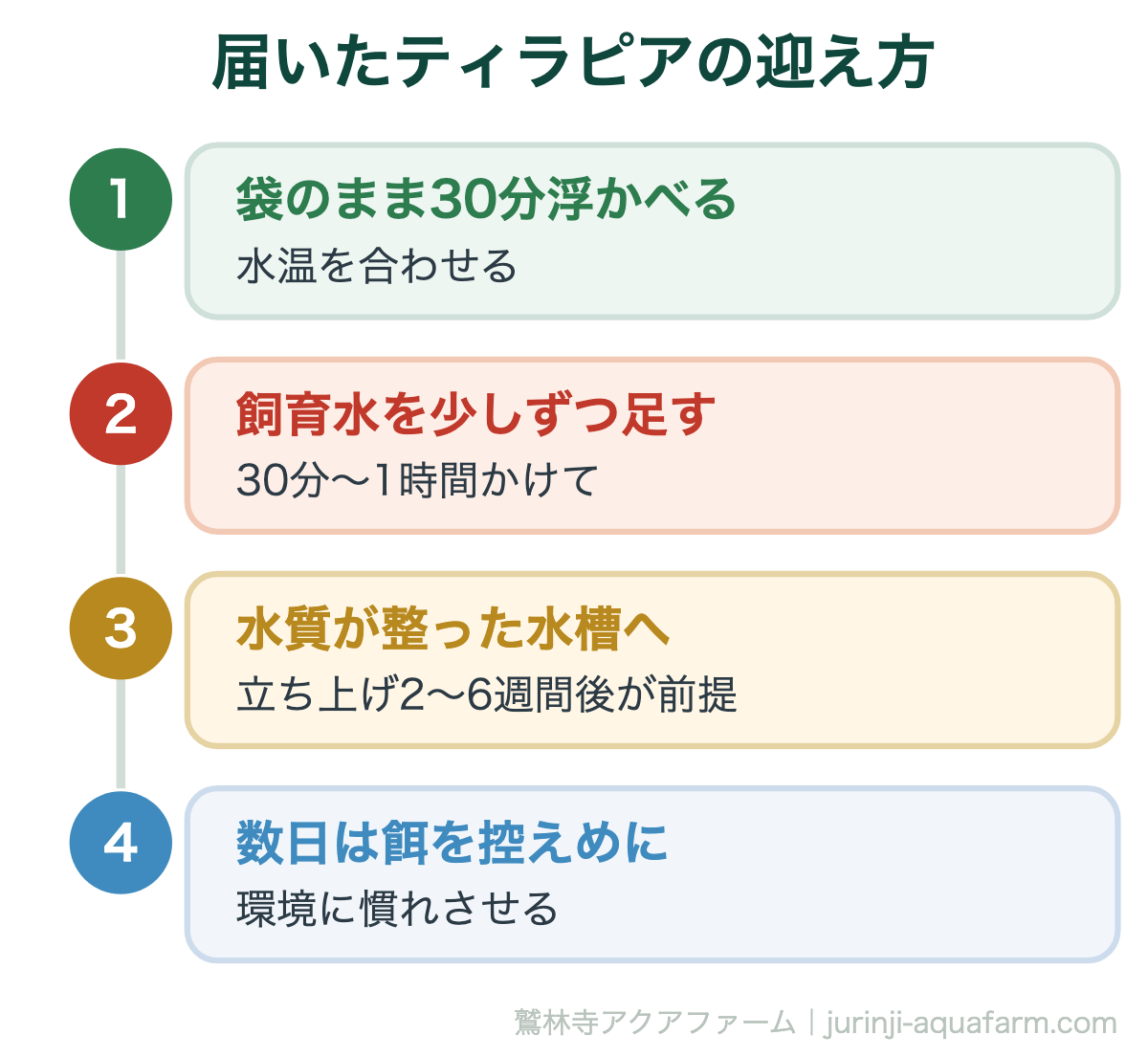 届いたティラピアの迎え方。ティラピアは丈夫な魚ですが、輸送直後は特に繊細です。水合わせを省略しないでください
