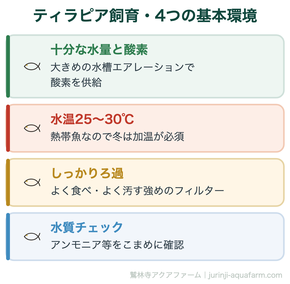 【完全版】自宅で繁殖！アクアポニックスでの【ティラピア飼育法】｜ティラピア飼育・4つの基本環境。ティラピアは丈夫ですが大食漢で水を汚しやすい魚。水量・酸素・ろ過・水温の4点を整えれば安定して育ちます
