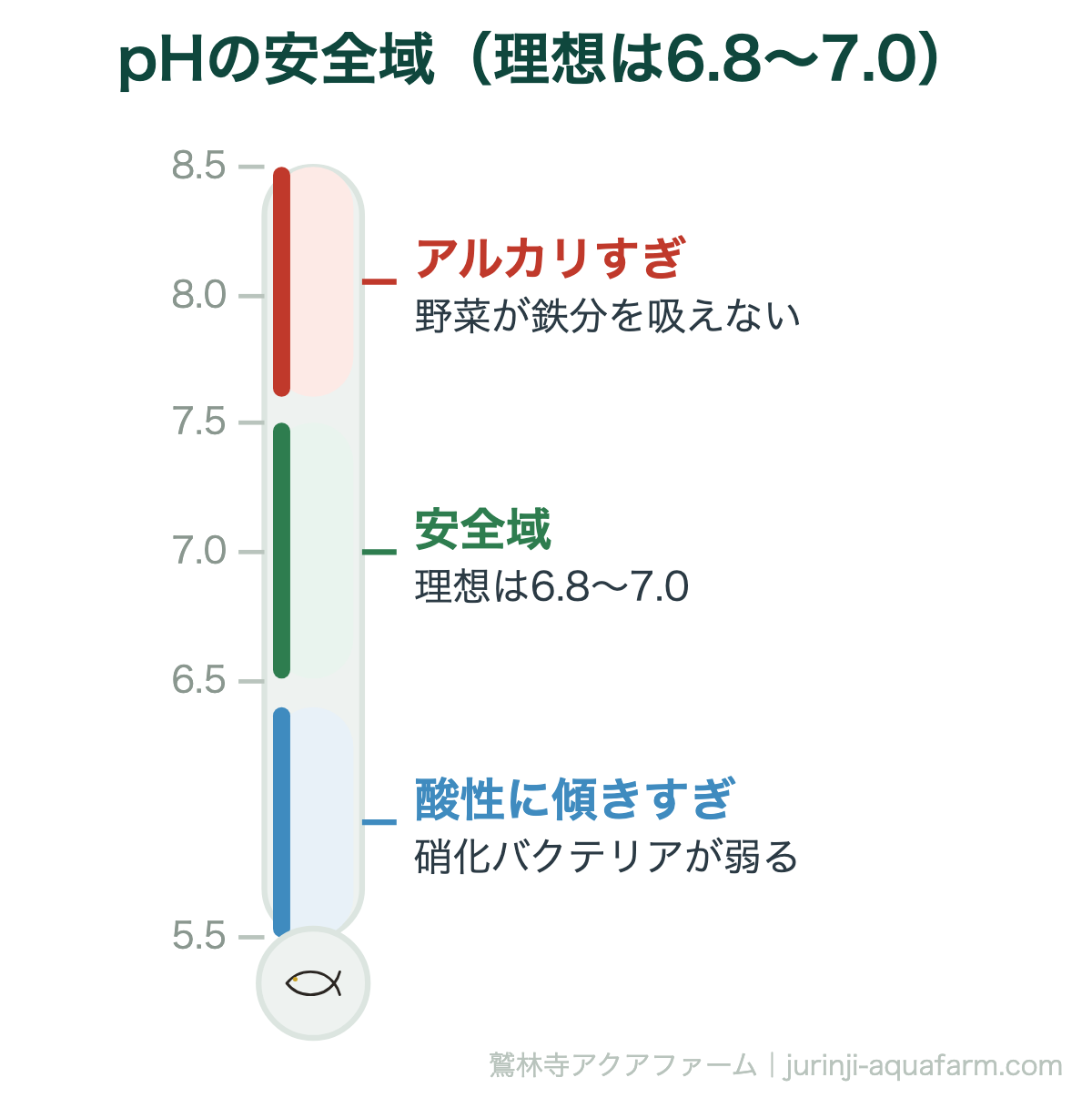 アクアポニックスで『失敗する原因は水質管理』初心者が知るべき5つの数値｜pHの安全域（理想は6.8〜7.0）。魚は中性〜弱アルカリ、野菜は弱酸性を好みます。その折り合いが6.8〜7.0。放置すると硝化が進んで酸性に傾きます
