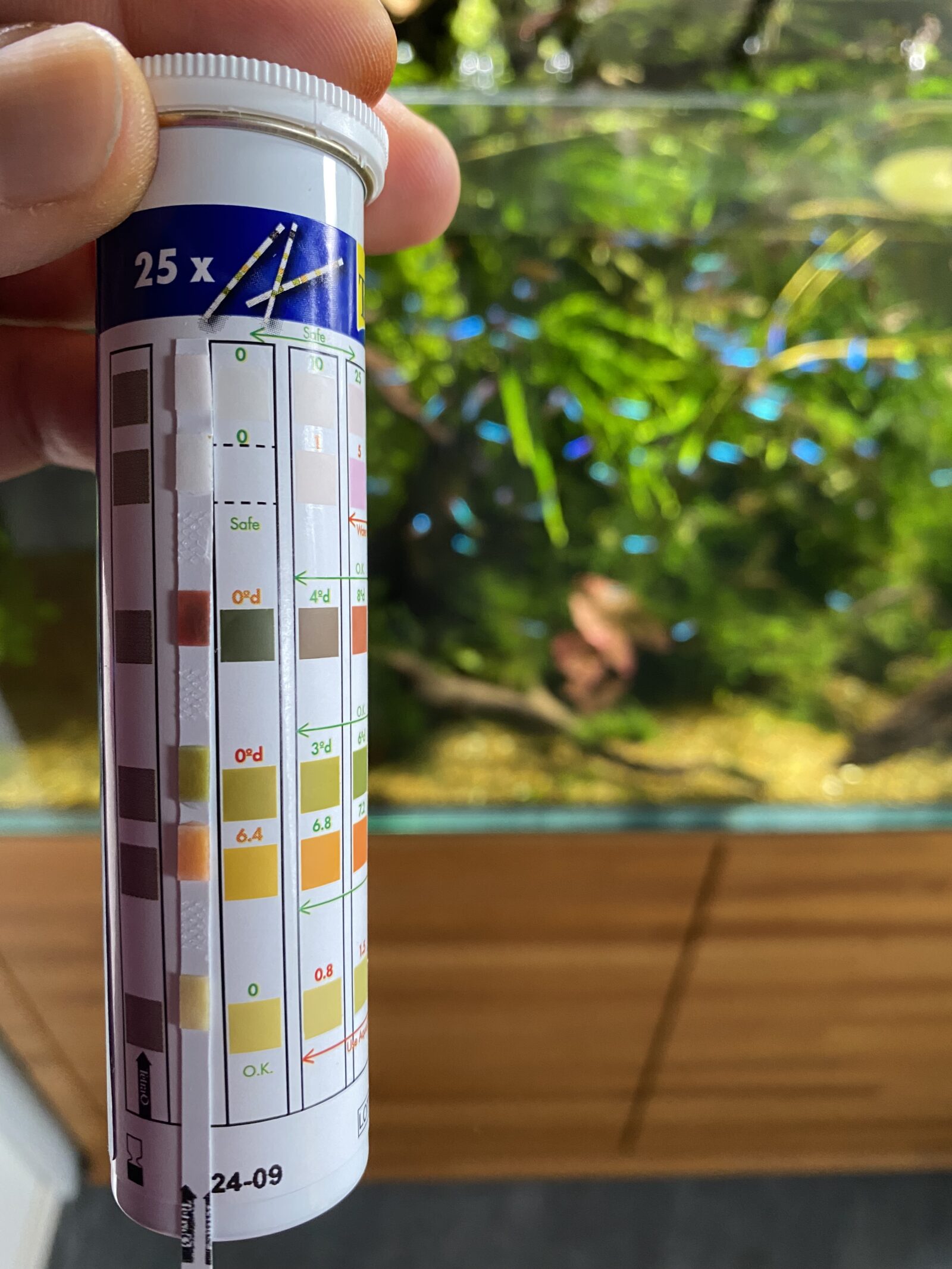 水質検査の試験紙と比色表を手に持って、色を見比べているところ