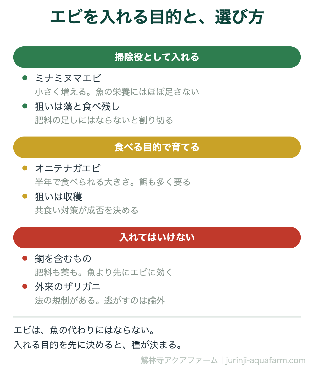 アクアポニックスでエビを入れる目的別の選び方の図。掃除役ならミナミヌマエビ、食べる目的ならオニテナガエビ、銅を含むものと外来のザリガニは入れてはいけない