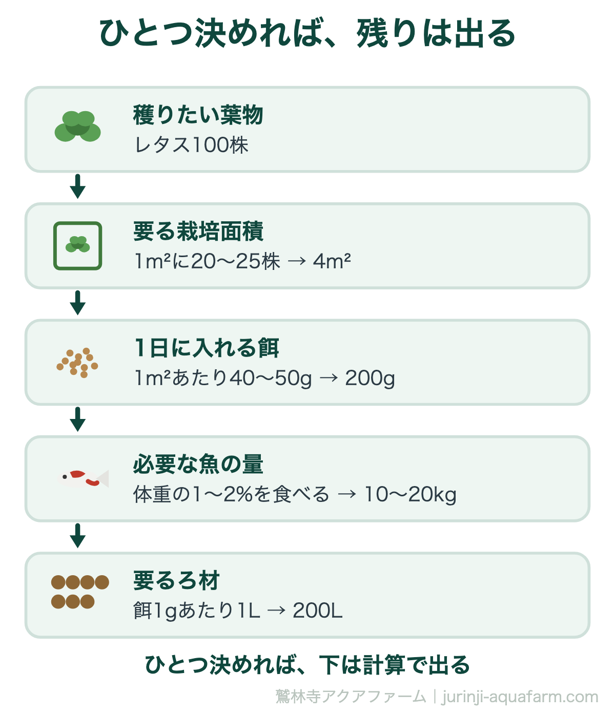 アクアポニックスの餌の量を決める計算の順番。野菜から面積、餌、魚、ろ材まで芋づる式に出る図解