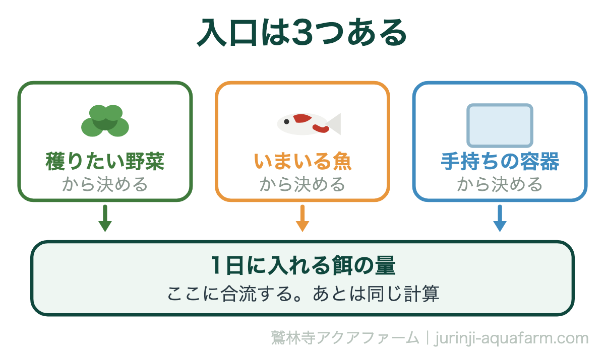 アクアポニックスの設計は野菜・魚・容器のどこから決めてもよいことを示す図解