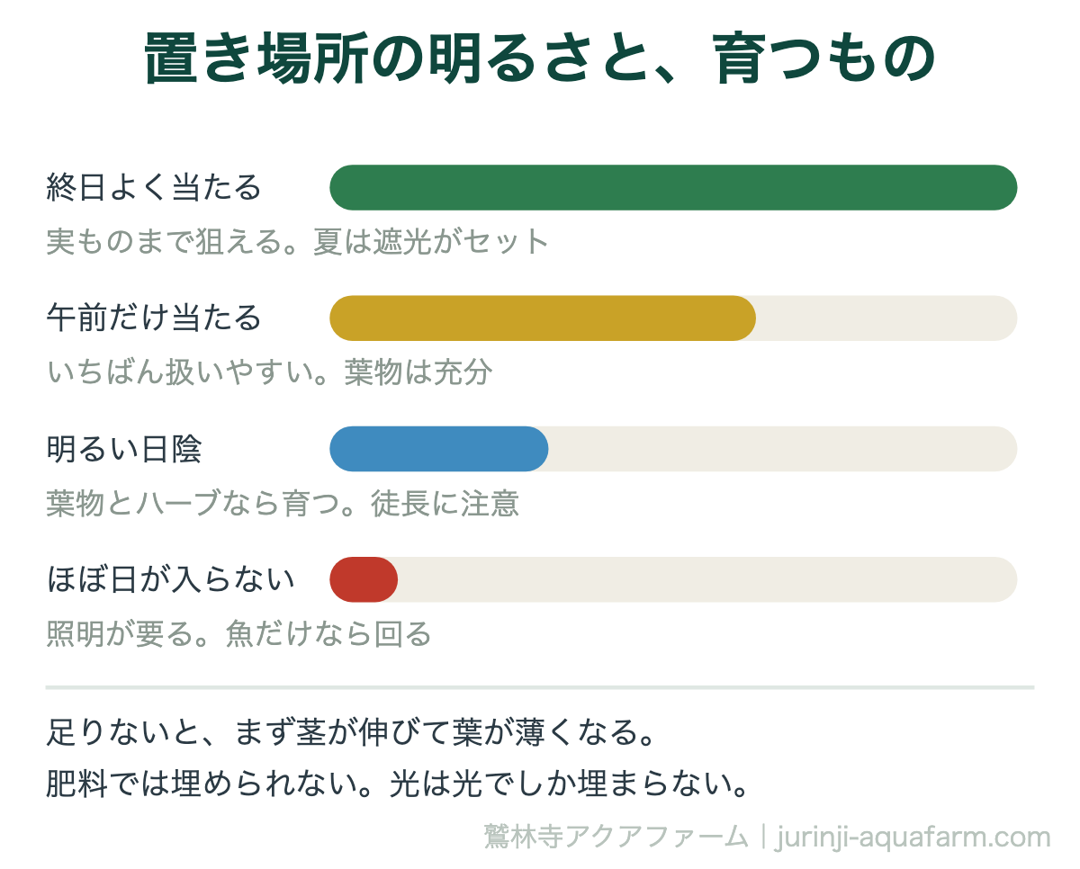アクアポニックスの置き場所の明るさと育つものの図。終日当たれば実ものまで、午前だけなら扱いやすい、明るい日陰は葉物とハーブ、日が入らないなら照明が要る