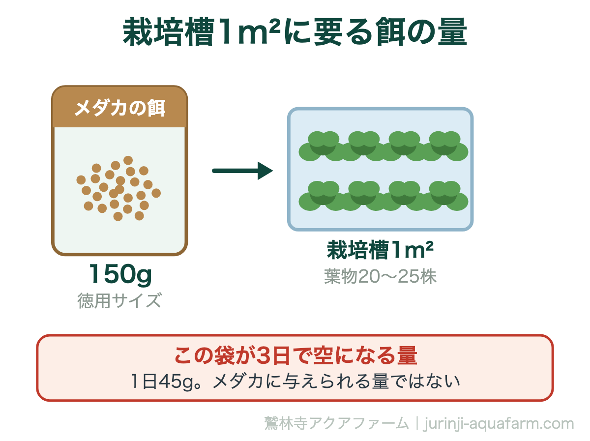 アクアポニックスの栽培槽1平方メートルに要る餌は1日40〜50グラムという図解