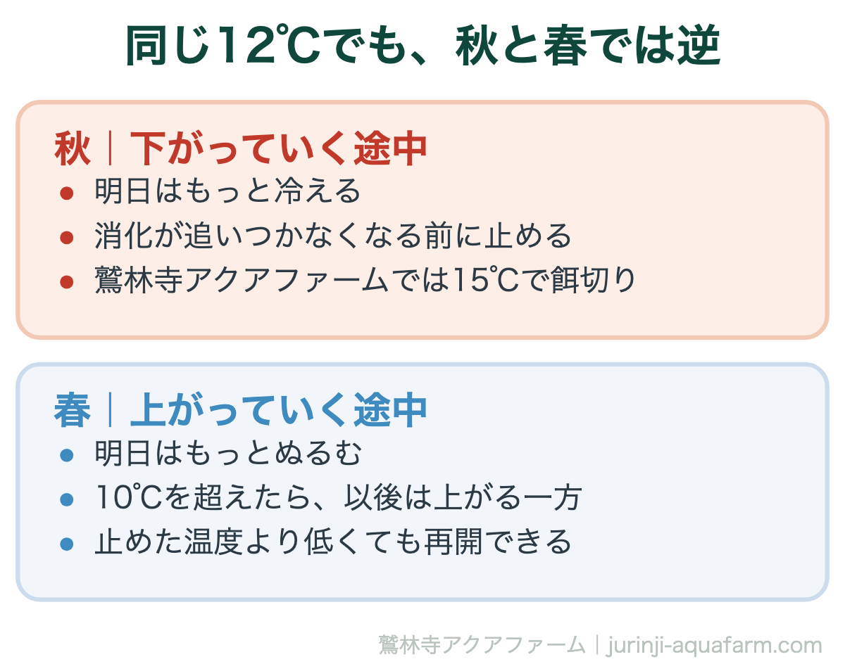 アクアポニックスの冬の餌やり。秋は15℃で止め、春は10℃で再開する