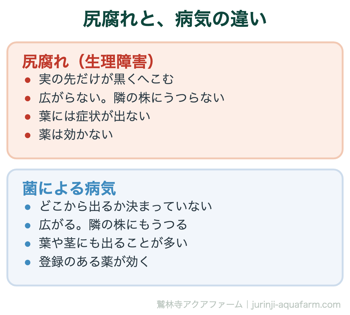 トマトの尻腐れと菌による病気の違い。尻腐れは実の先だけ、うつらない、葉に出ない、薬が効かない