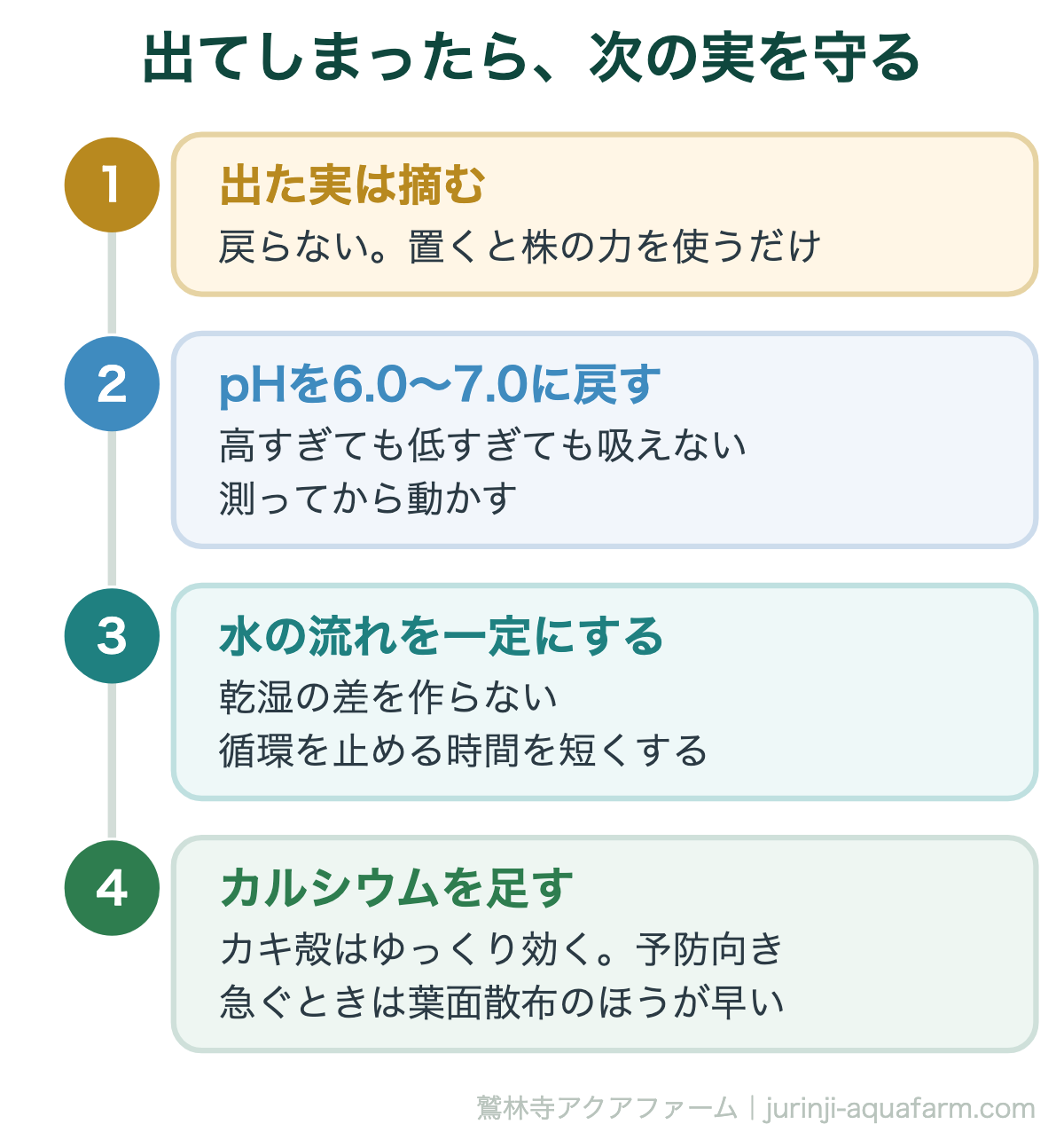 トマトの尻腐れが出たときの手当て。出た実は摘む・pHを戻す・水の流れを一定に・カルシウムを足す
