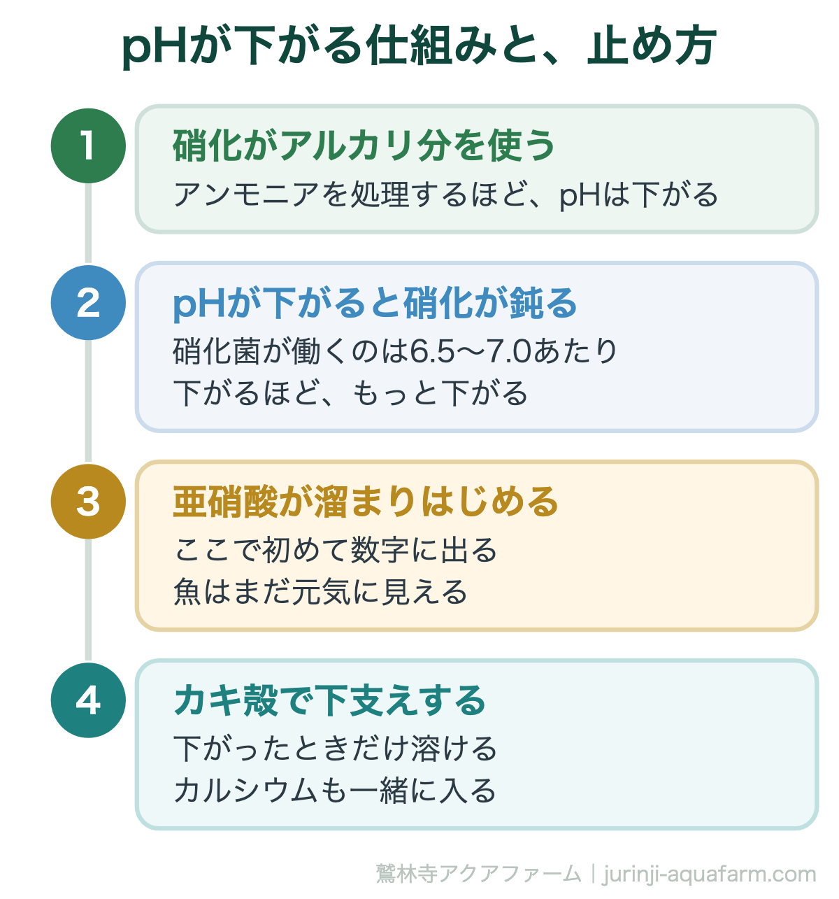 アクアポニックスでpHが下がる仕組み。硝化がアルカリ分を使い、pHが下がると硝化が鈍る。カキ殻で下支えする