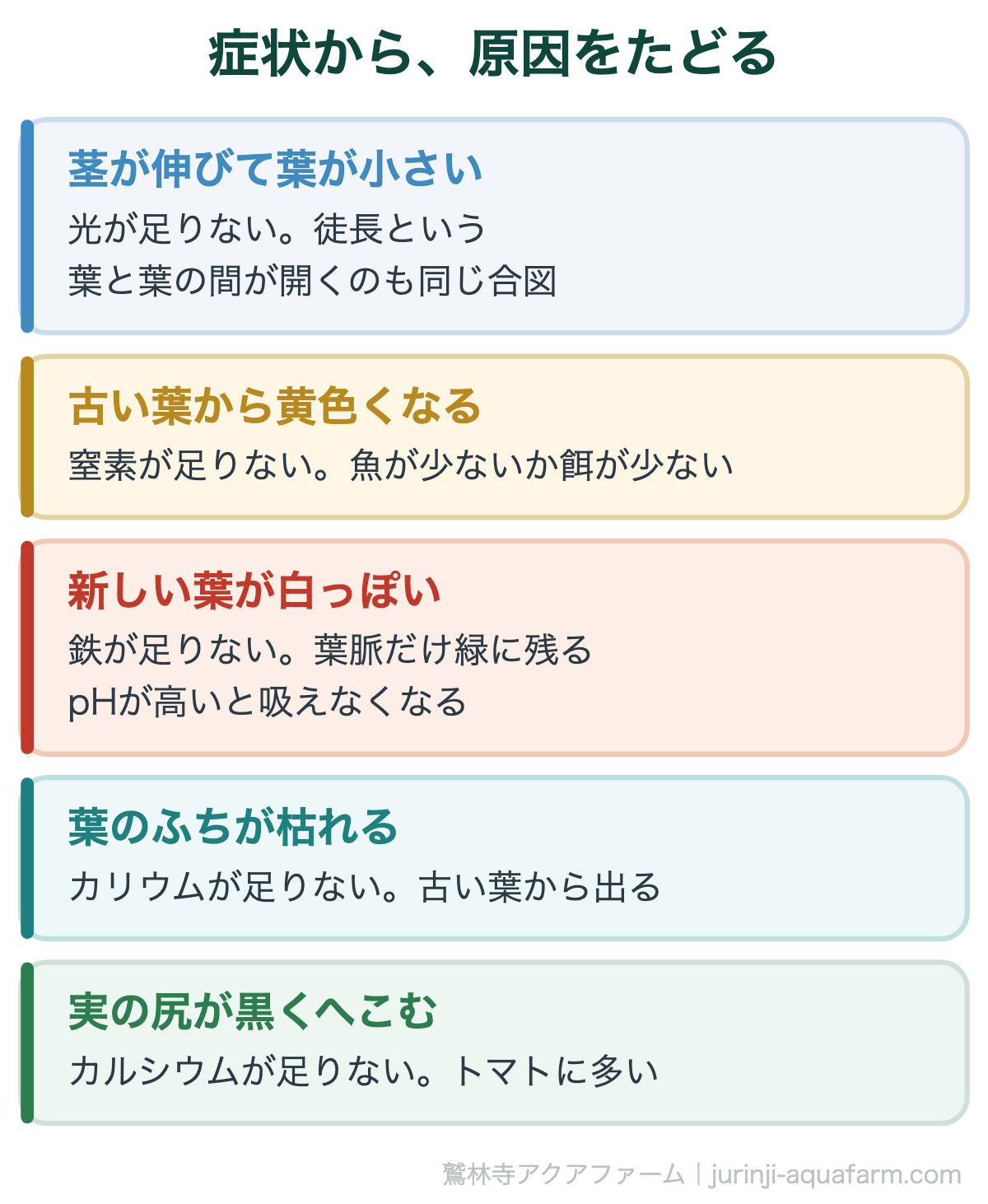 アクアポニックスで野菜が育たないときの症状と原因。徒長・古い葉の黄変・新しい葉の白化・葉のふちの枯れ・実の尻腐れ