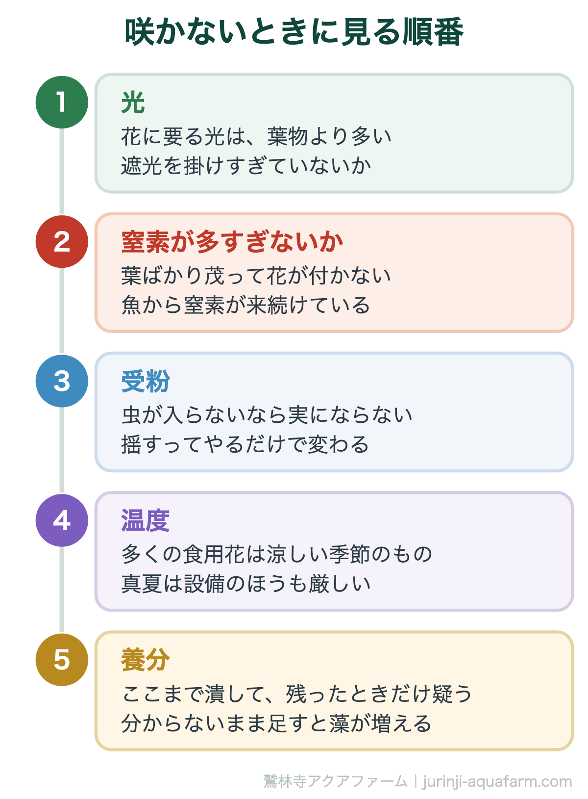 アクアポニックスで花が咲かないときに見る順番。光・窒素が多すぎないか・受粉・温度・最後に養分の5段階