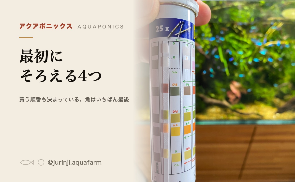 アクアポニックスの水質検査。試験紙の色を見本と見比べているところ