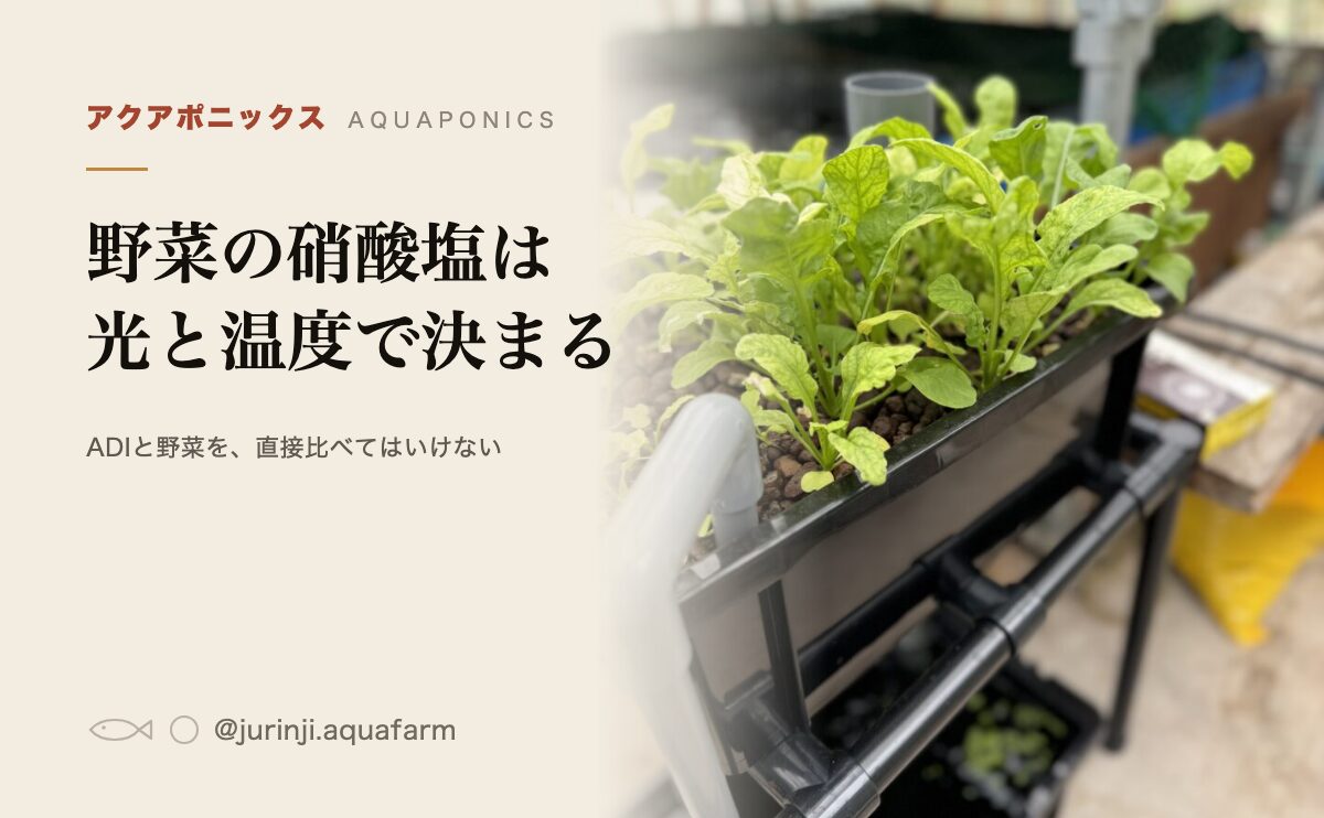 アクアポニックスの野菜と硝酸塩。決めているのは光と温度