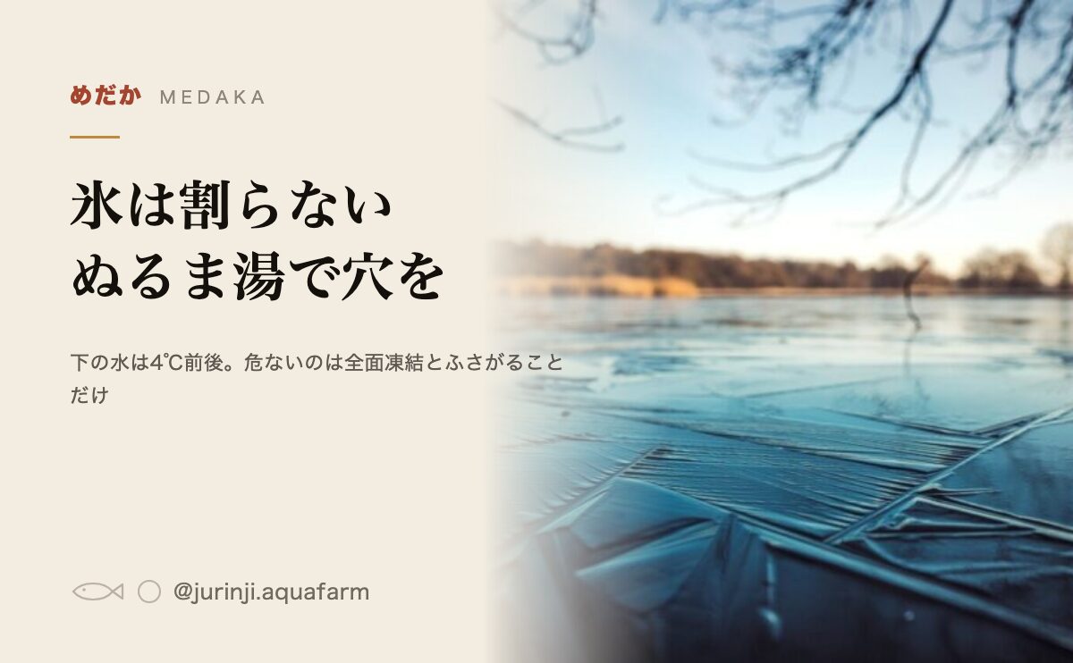 メダカの氷は割らない。ぬるま湯で穴を開ける