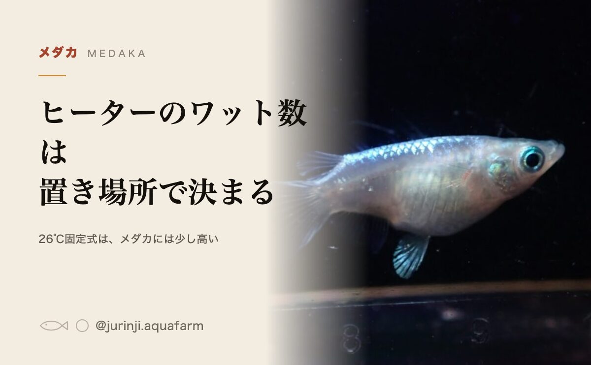 メダカのヒーターの選び方。ワット数は部屋との温度差で決まる