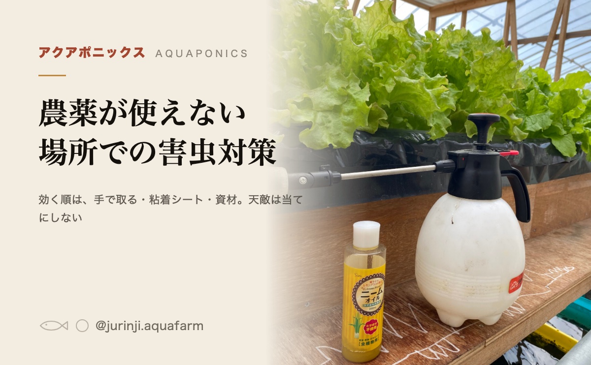 アクアポニックスの害虫対策に使うニームオイルと噴霧器。栽培槽のそばに置いてある