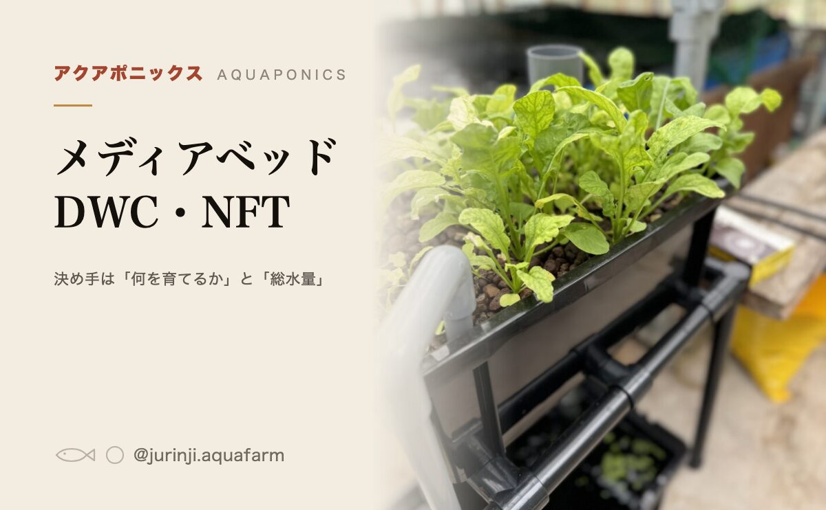 アクアポニックスの3方式。メディアベッド・DWC・NFTの選び方